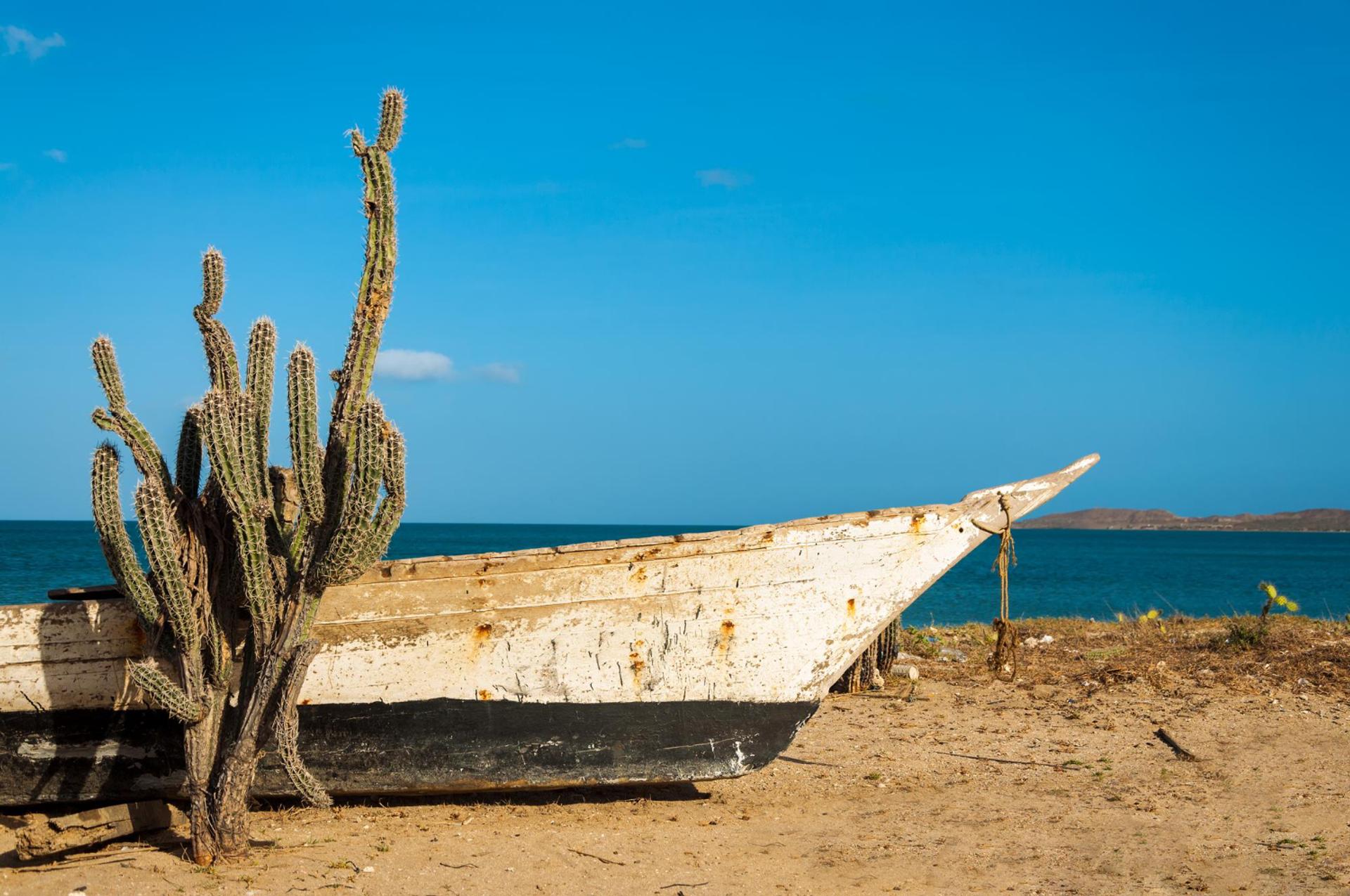 La Guajira — Gases de La Guajira